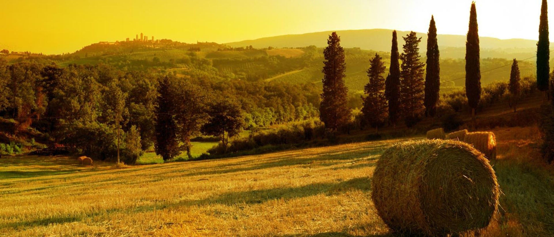 2015-08-7-san-gimignano-countryside1