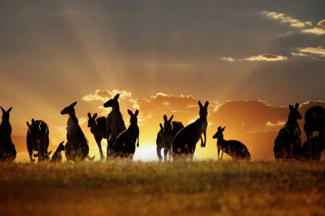 2015-08-australia-2