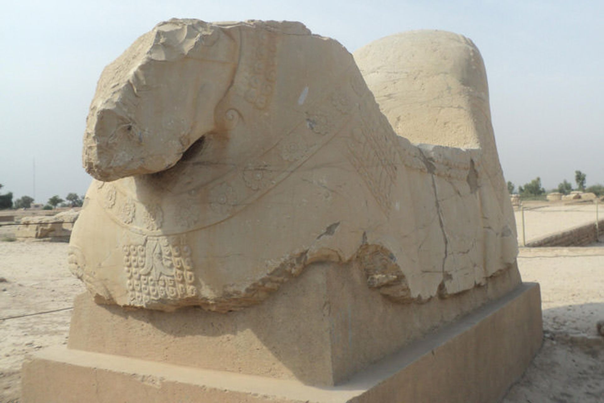 سرستون گاو دوسر شوش
