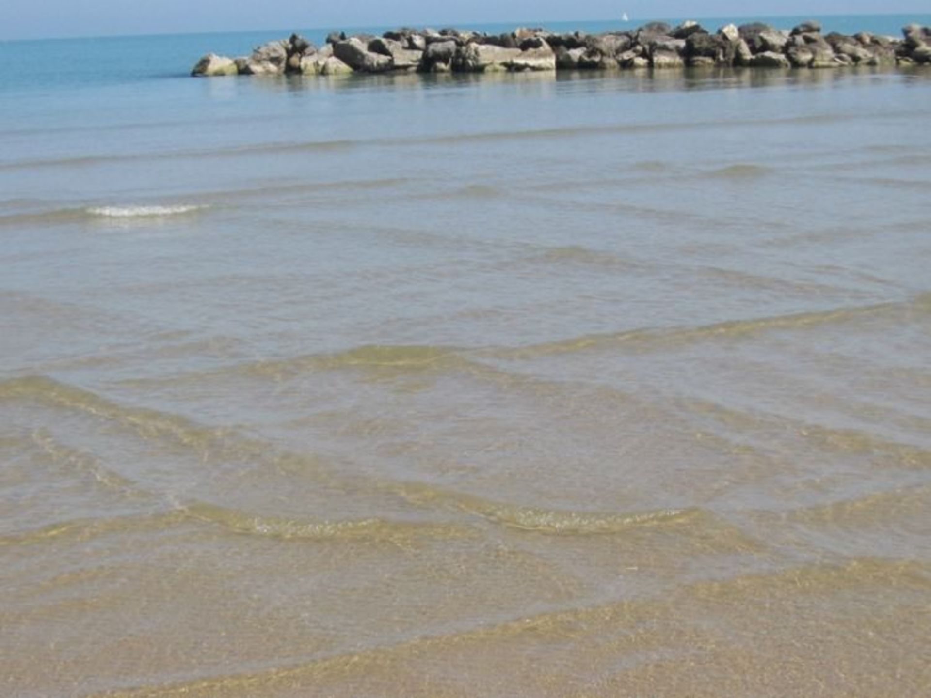 2015-08-cross-swell-72