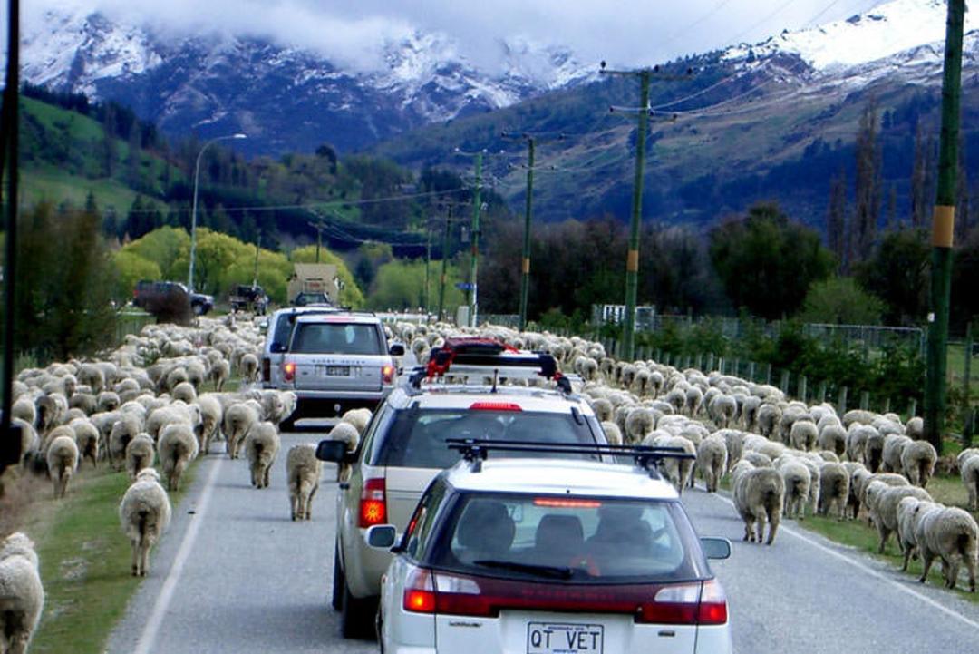 2015-08-dangers_in_new_zealand-2