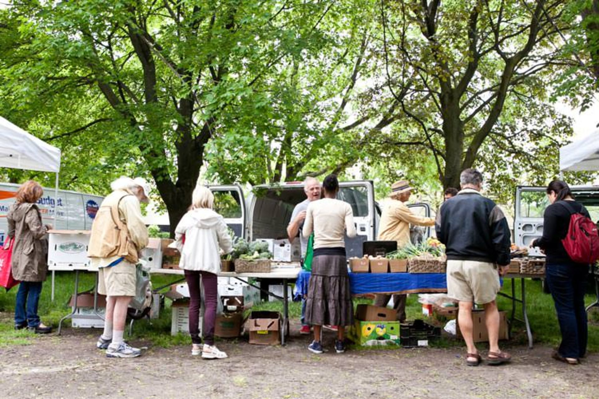 2015-08-dufferin-grove
