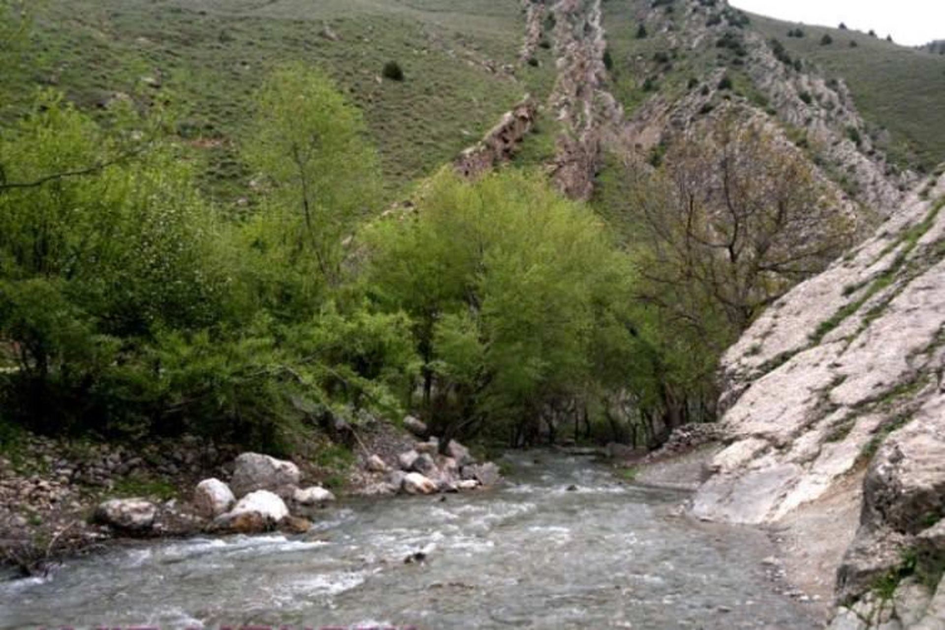 زنگلانلو