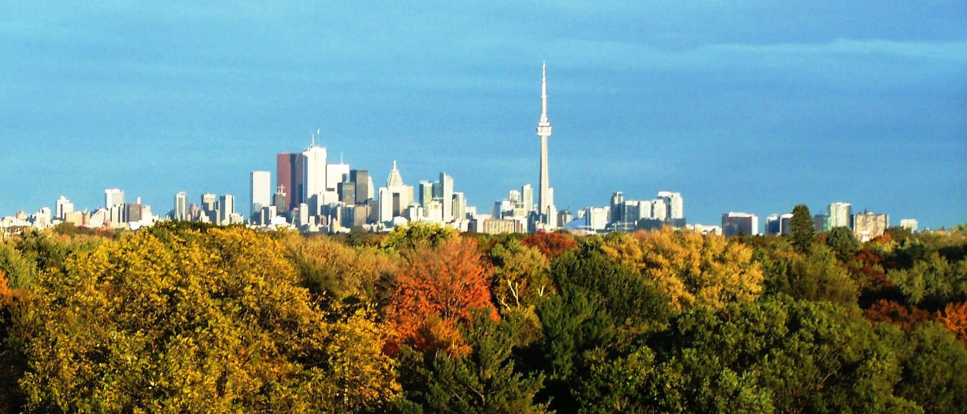 2015-08-high_park_skyline_view_20101