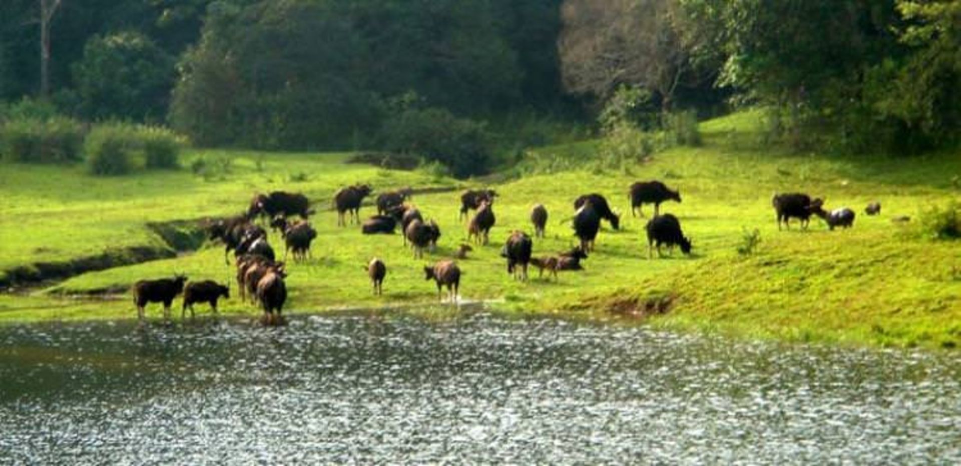 2015-08-idukki
