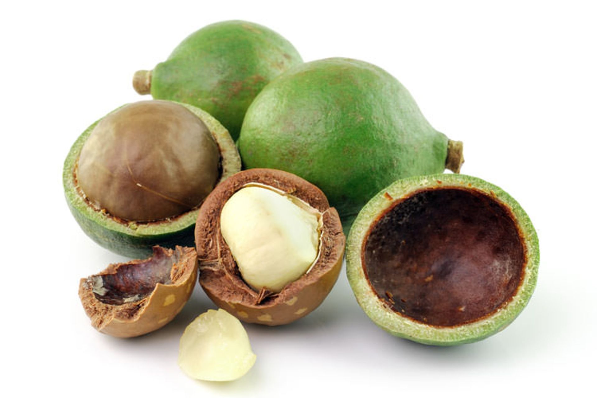 macadamia