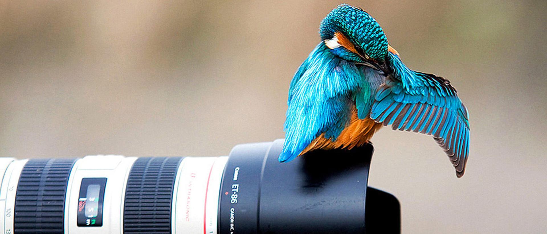 Photography tips