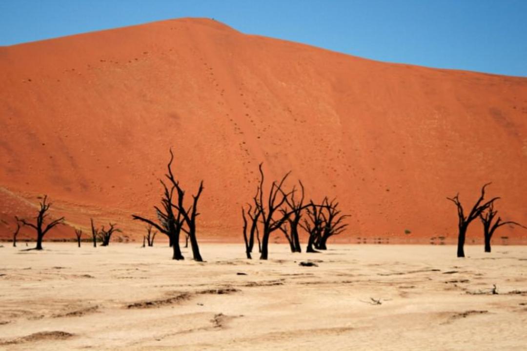 بیابان نامیب در آفریقا