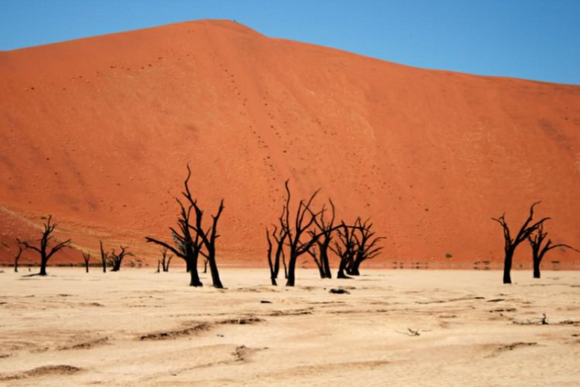 بیابان نامیب در آفریقا