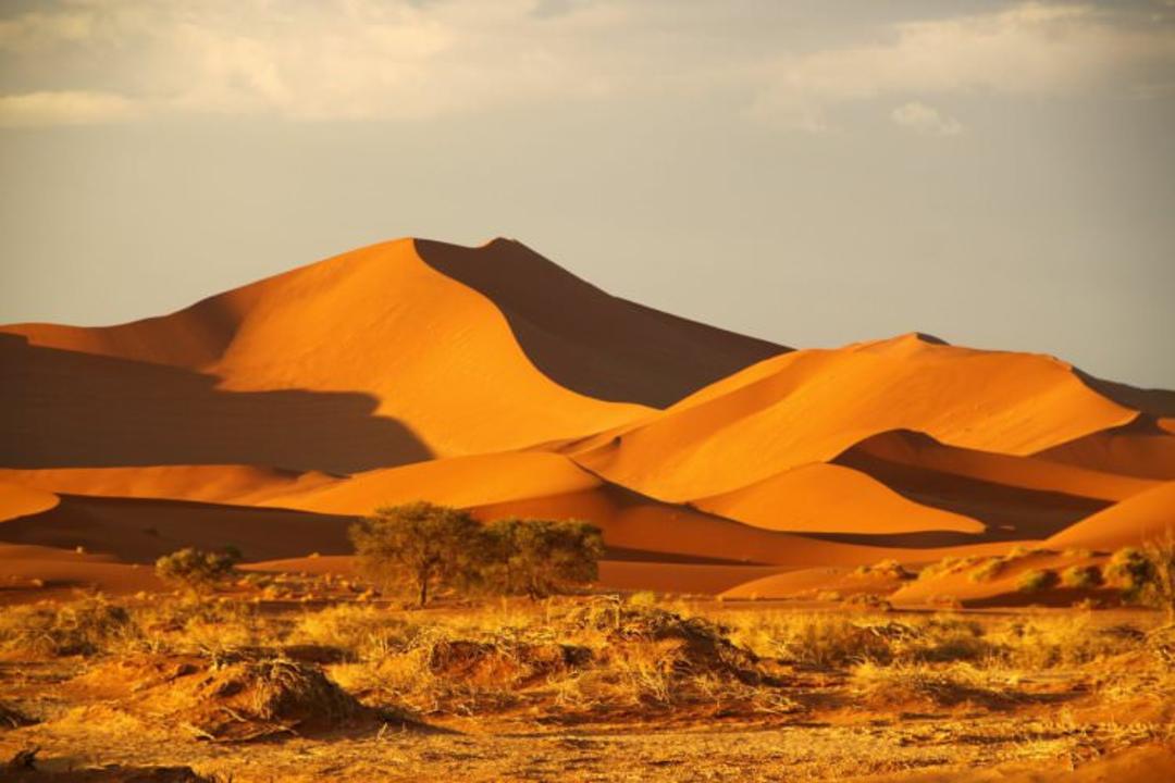 بیابان نامیب آفریقا