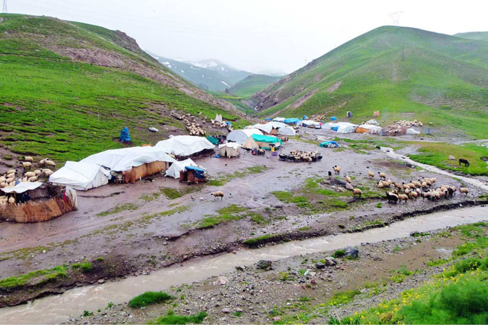 عشایر ایران
