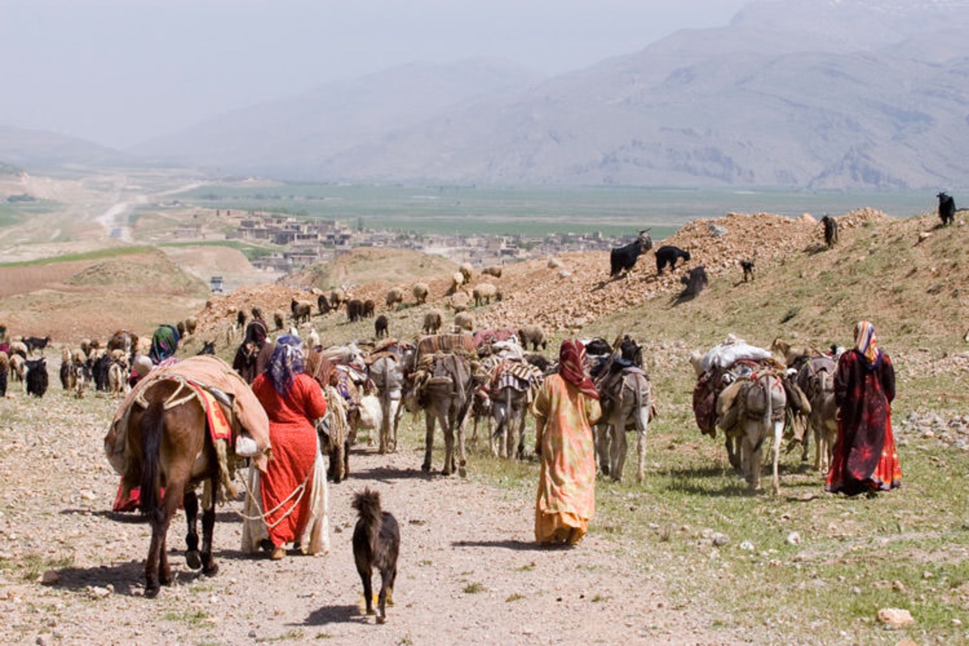 کوچ عشایر