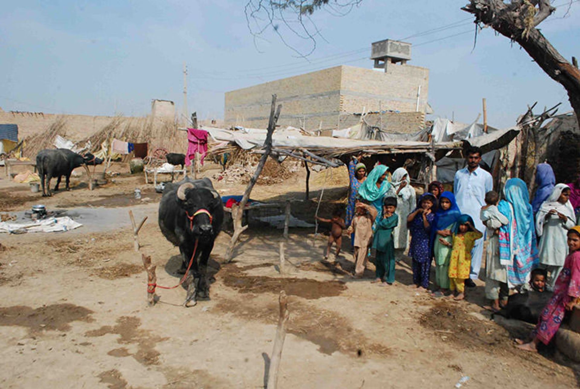 pakistan