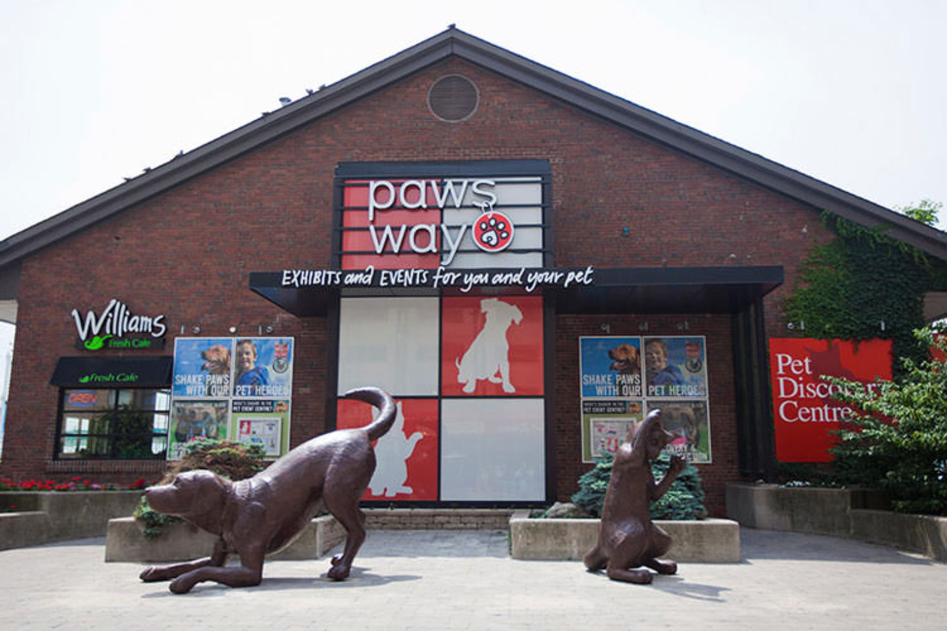 2015-08-pawsway0