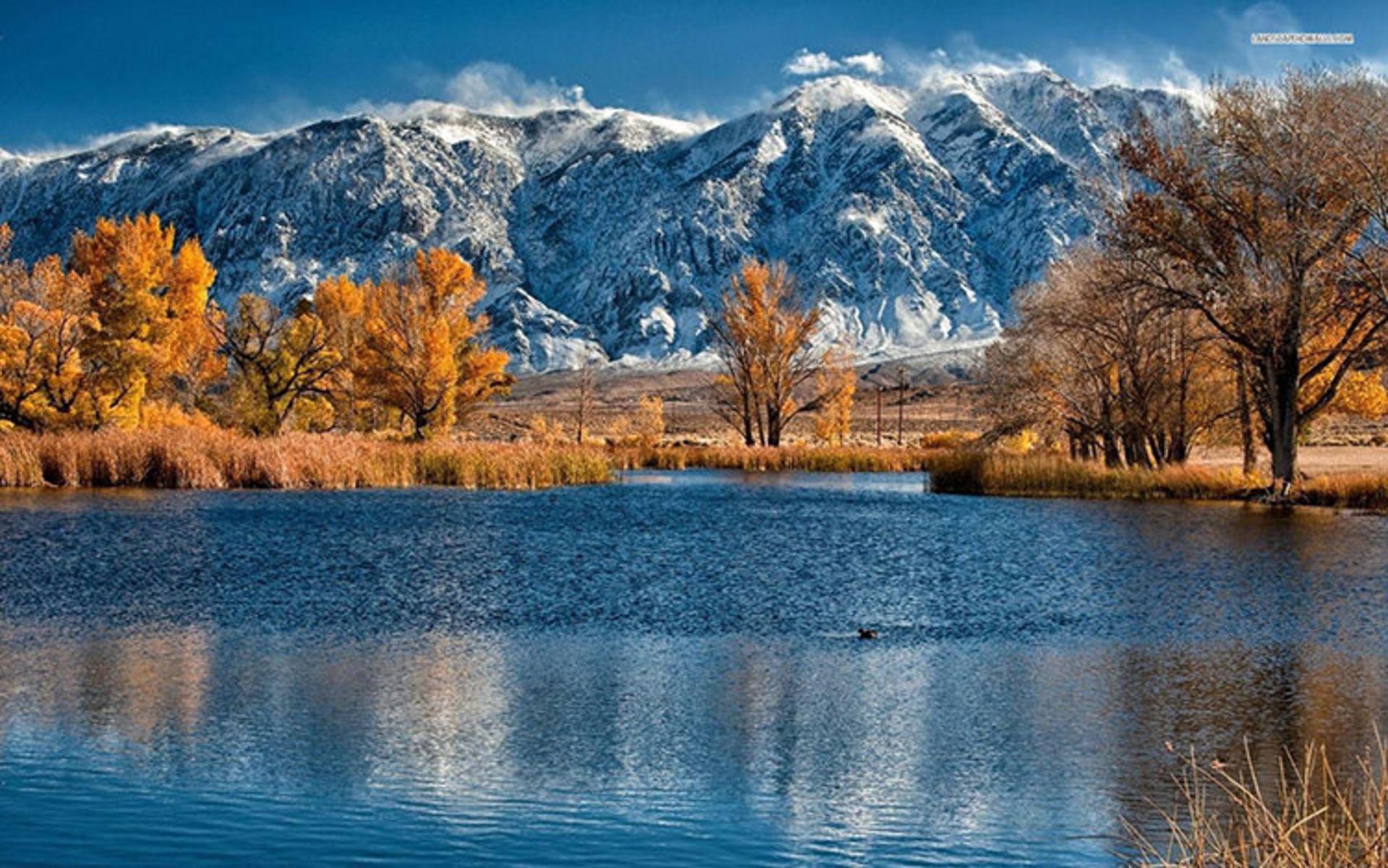 2015-08-perfect-white-mountains