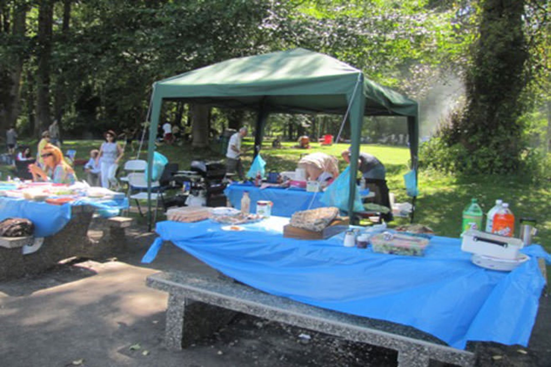 2015-08-piknik
