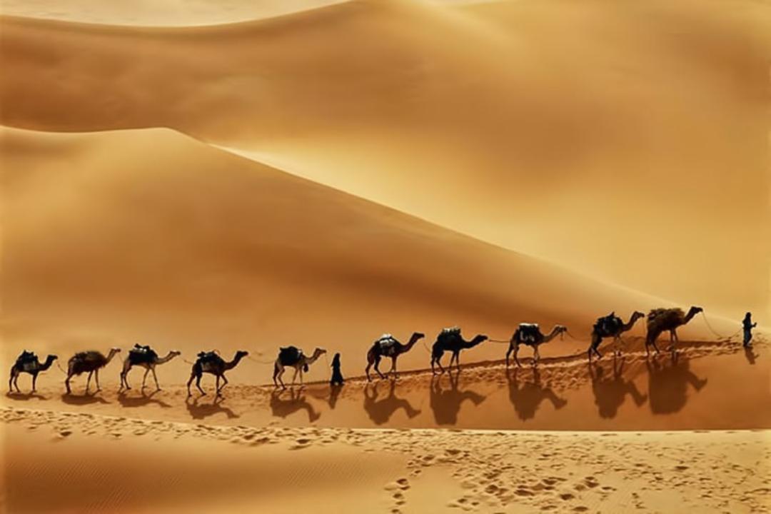 بیابان ربع الخالی در عربستان