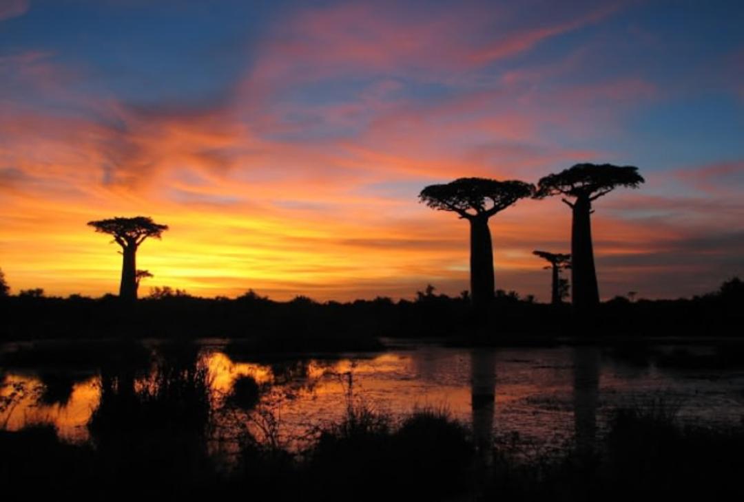 2015-08-sunset_baobabs_madagascar