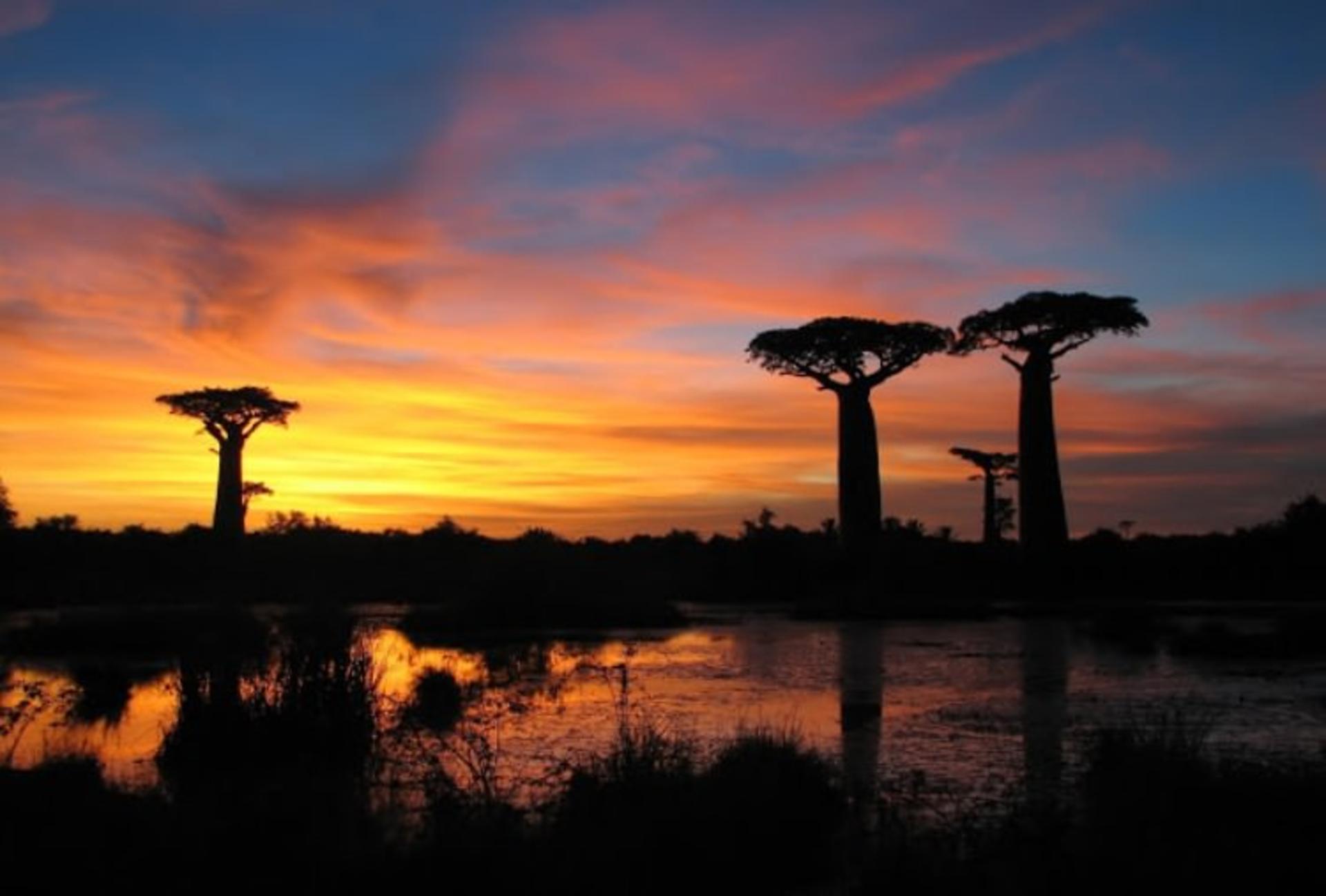 2015-08-sunset_baobabs_madagascar