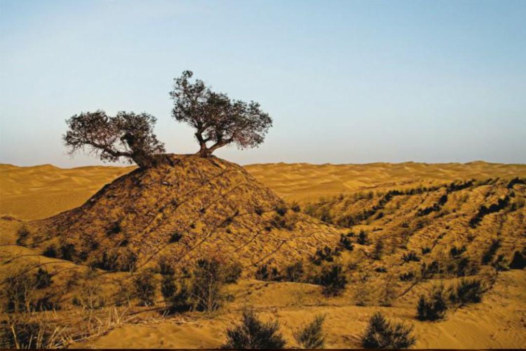 بیابان تکله مکان در چین