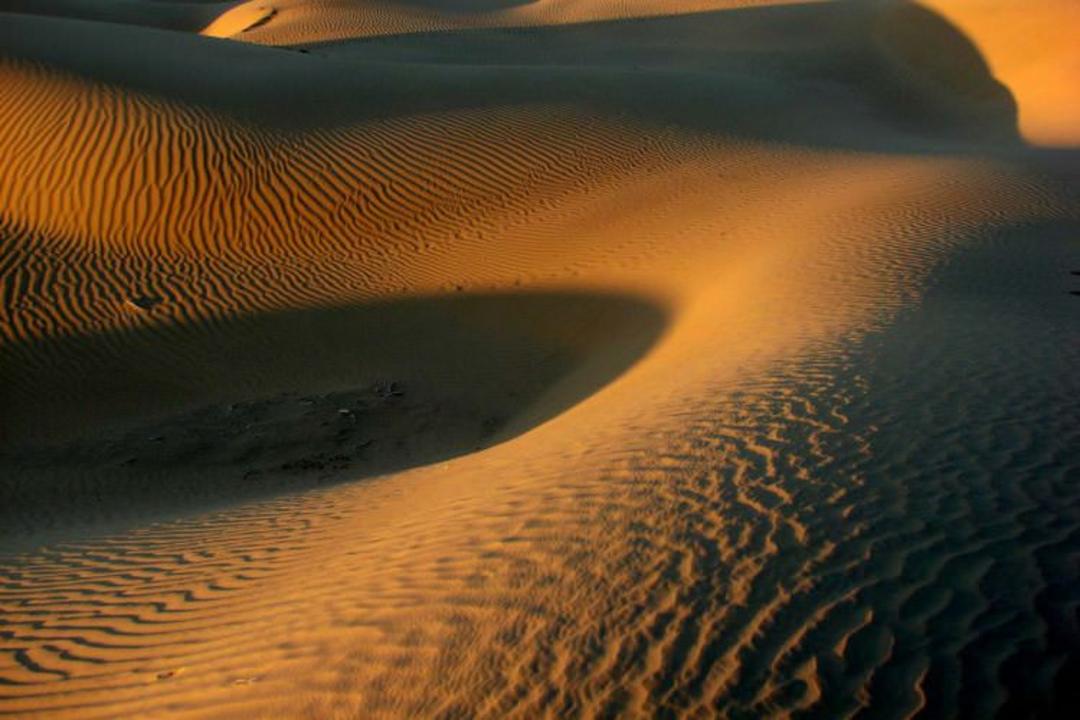 بیابان تار در هند و پاکستان