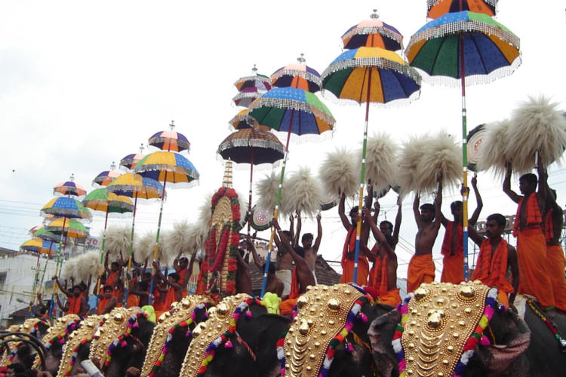 2015-08-thrissurpooram-kuda