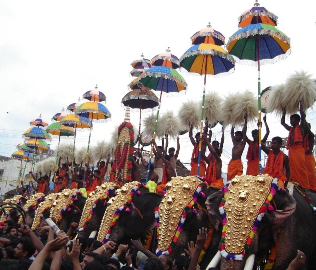 2015-08-thrissurpooram-kuda1