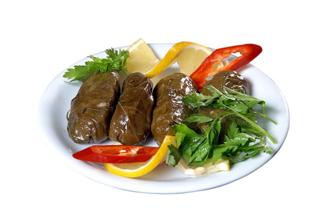 2015-08-turkey20