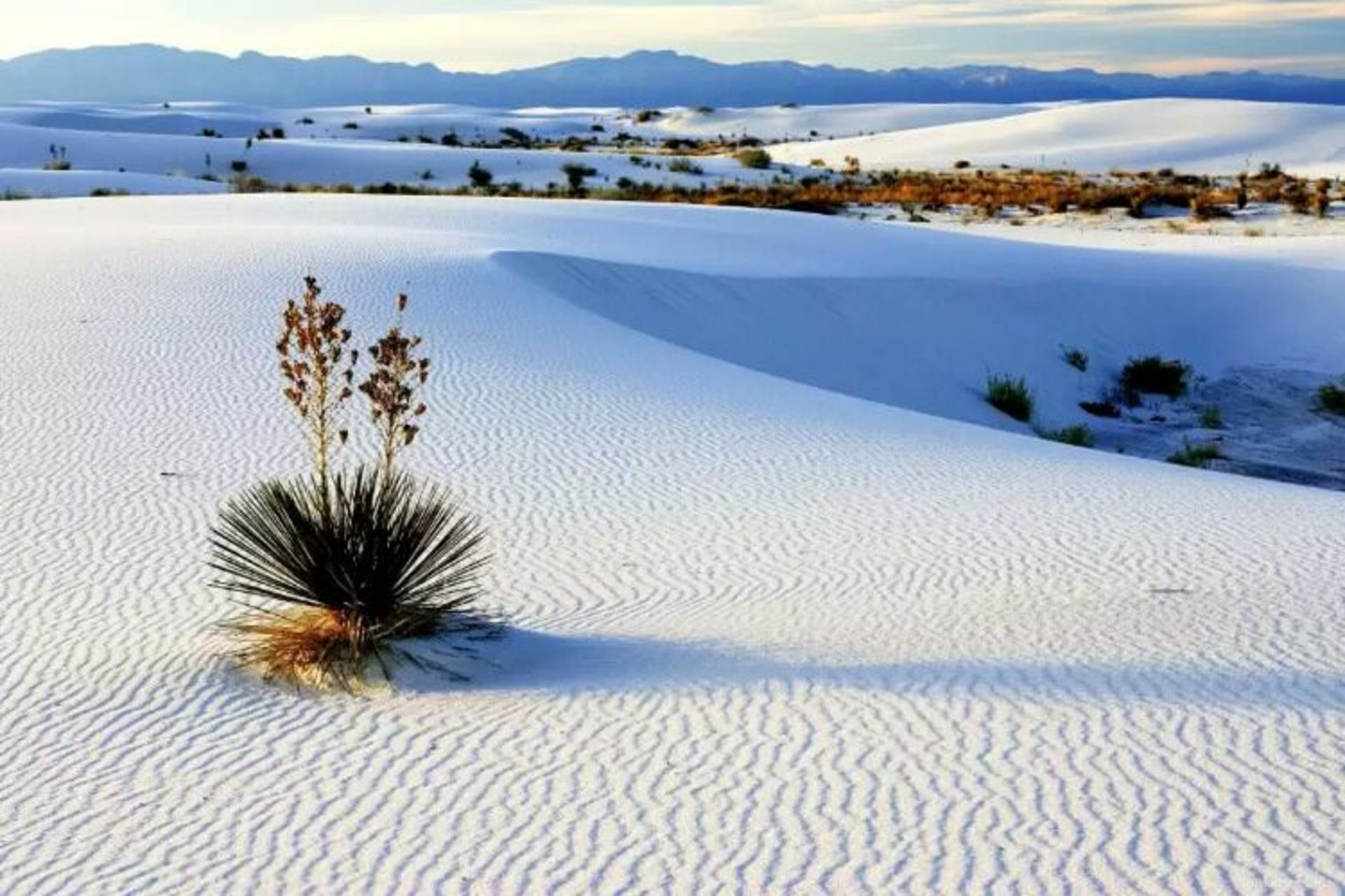 2015-08-wpid-white-sands-national-monument-1024x768_resize_20150817_003122