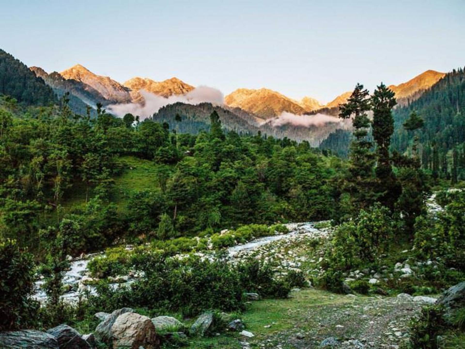 کشمیر