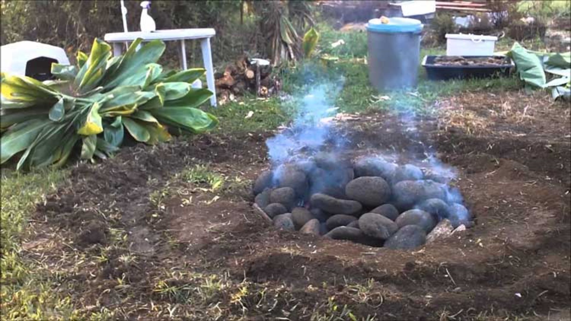 kalua
