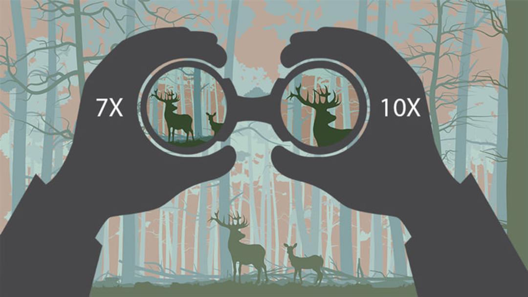 2015-09-4-how-choose-binoculars