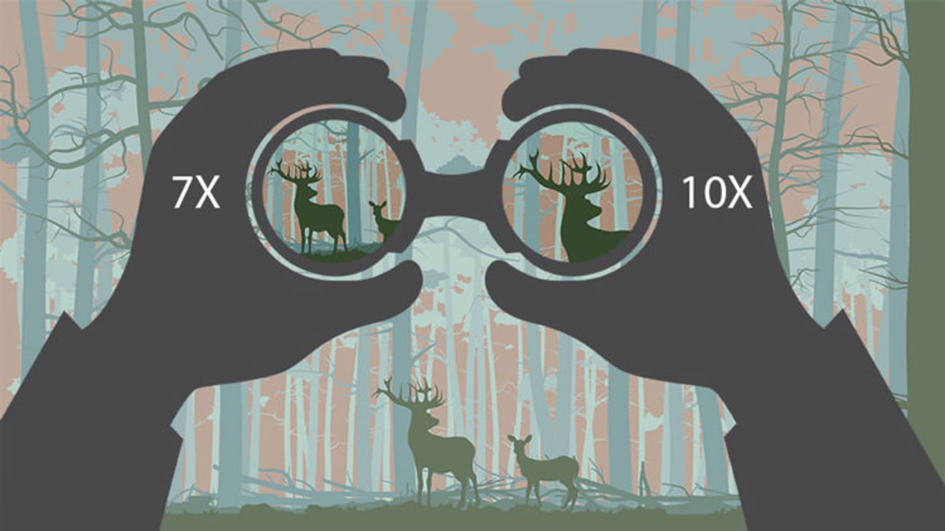 2015-09-4-how-choose-binoculars