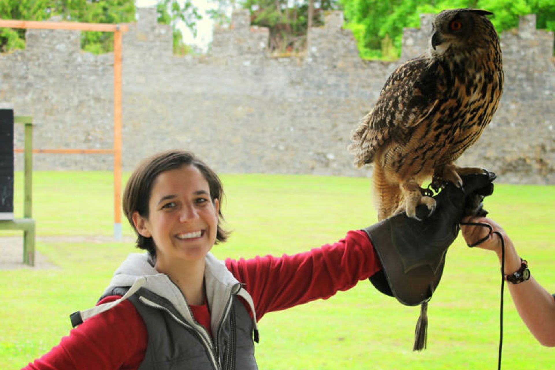 2015-09-adare-falconry-3