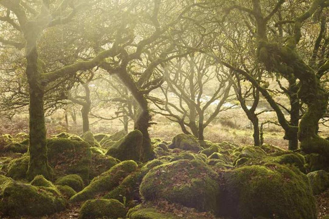 2015-09-british-countryside-1
