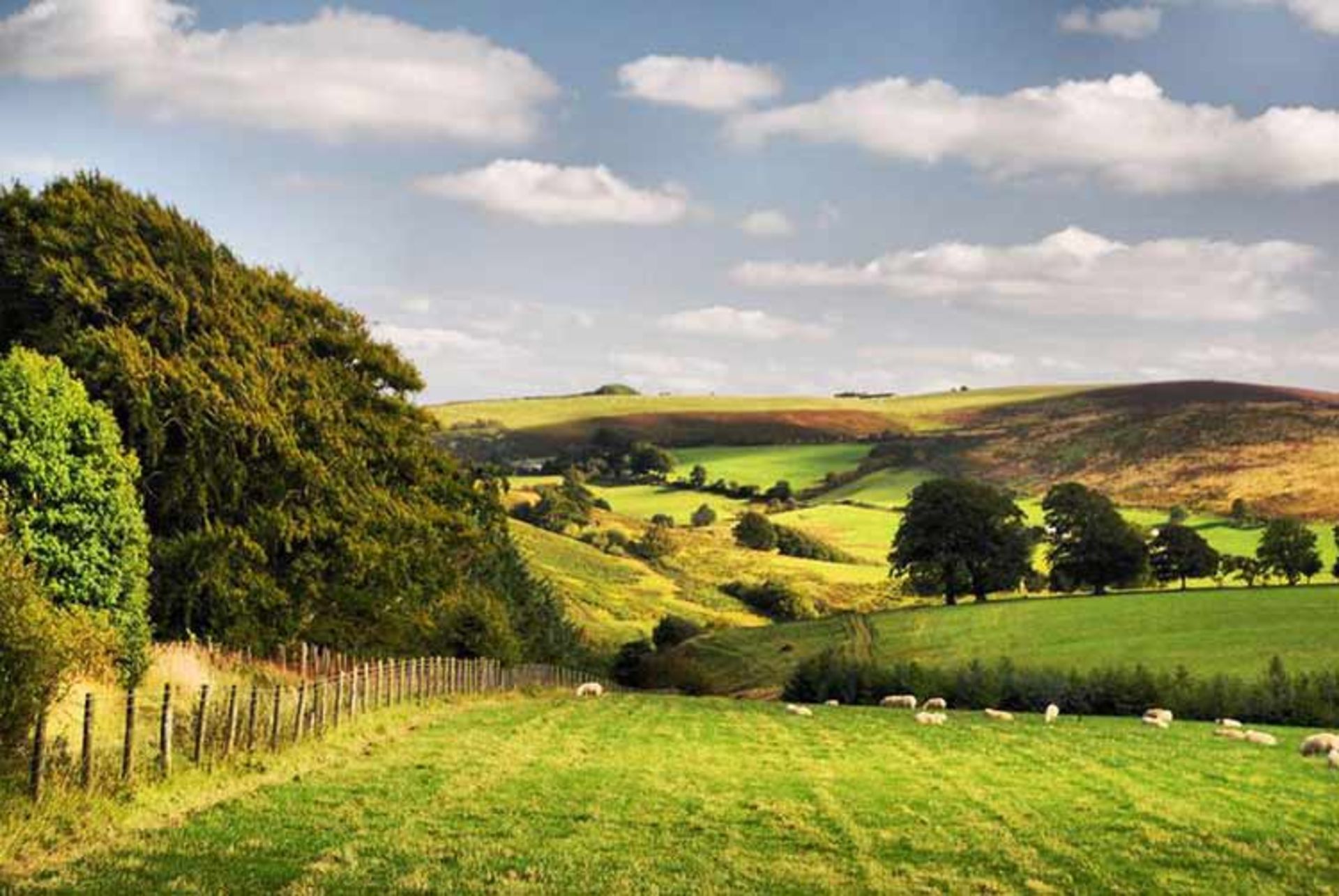 2015-09-british-countryside-10