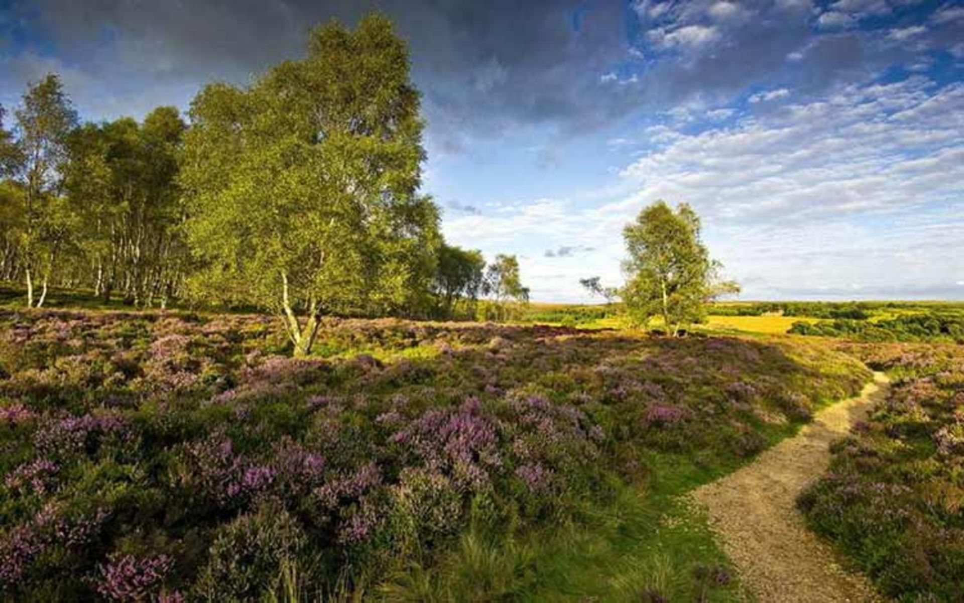 2015-09-british-countryside-19