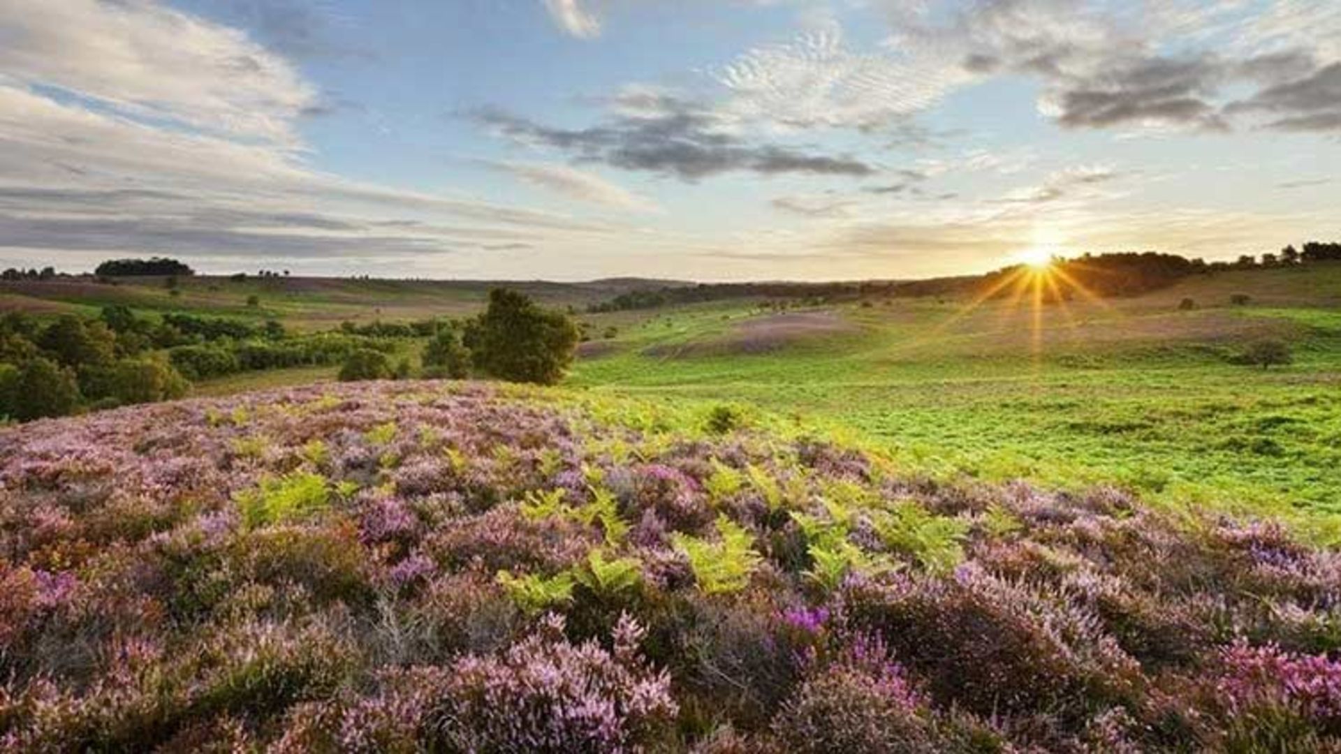 2015-09-british-countryside-2