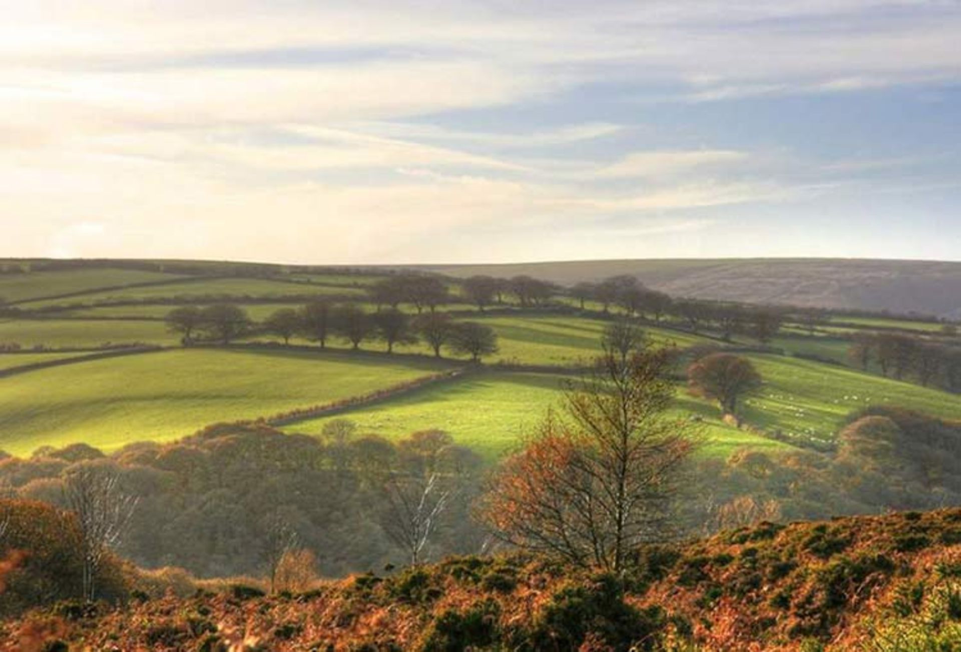 2015-09-british-countryside-3