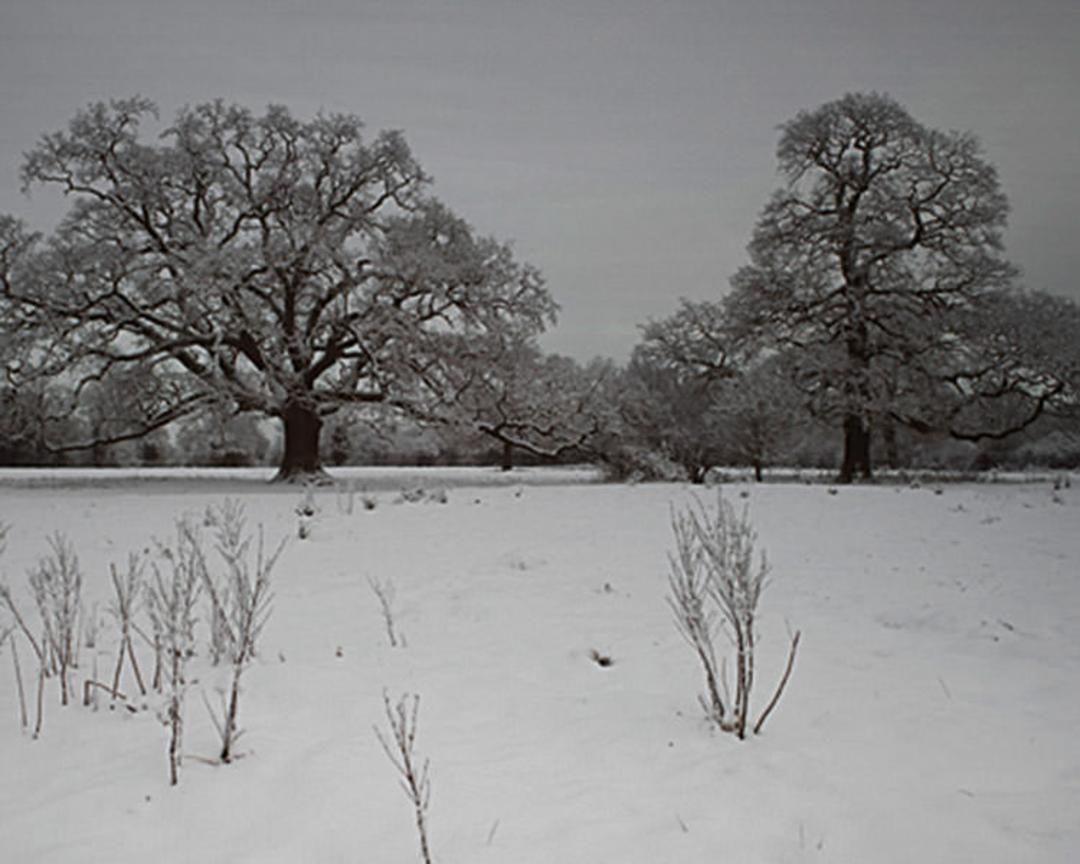 Photography Guid