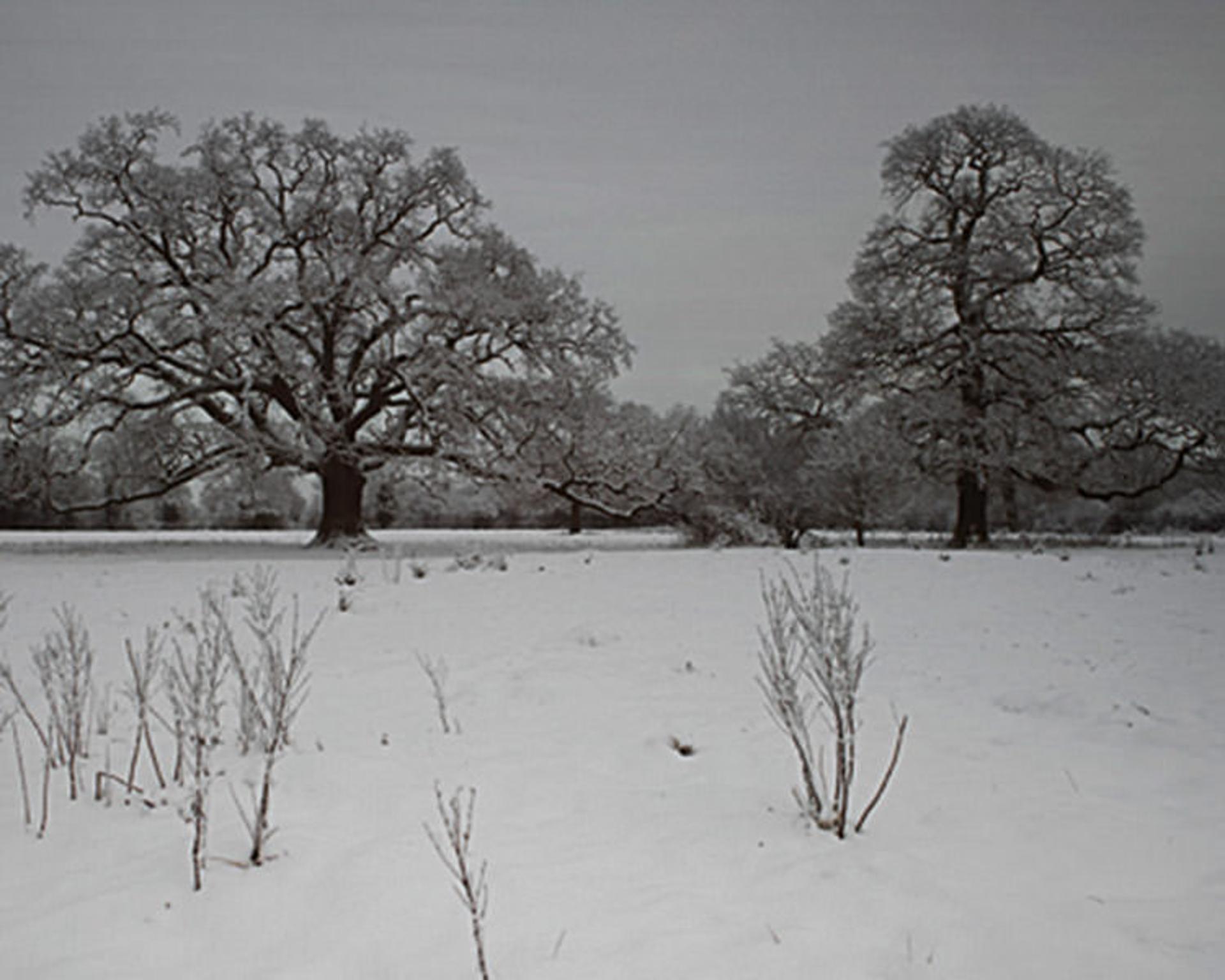 Photography Guid
