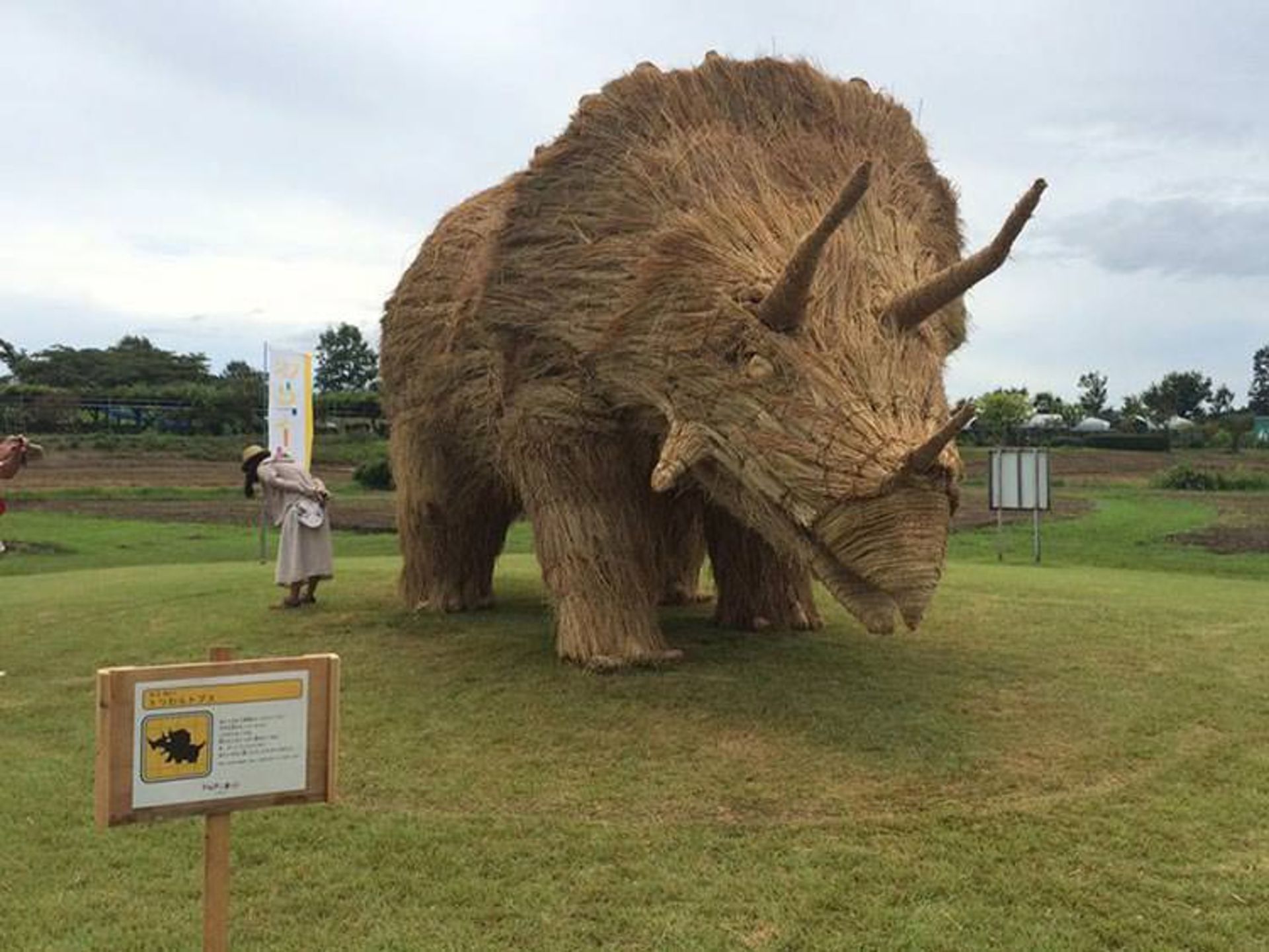 2015-09-festival-niigata-7