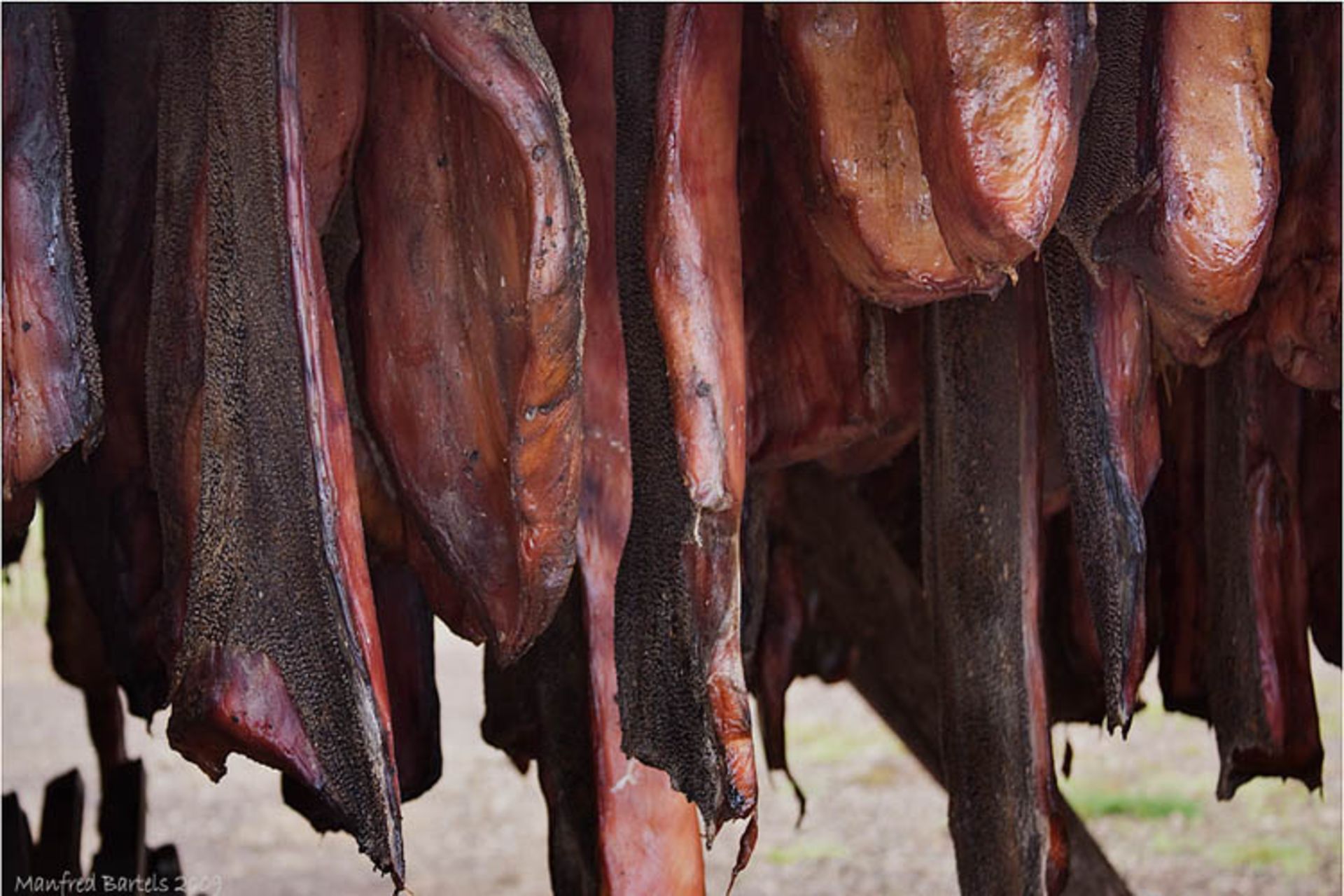 2015-09-gosht
