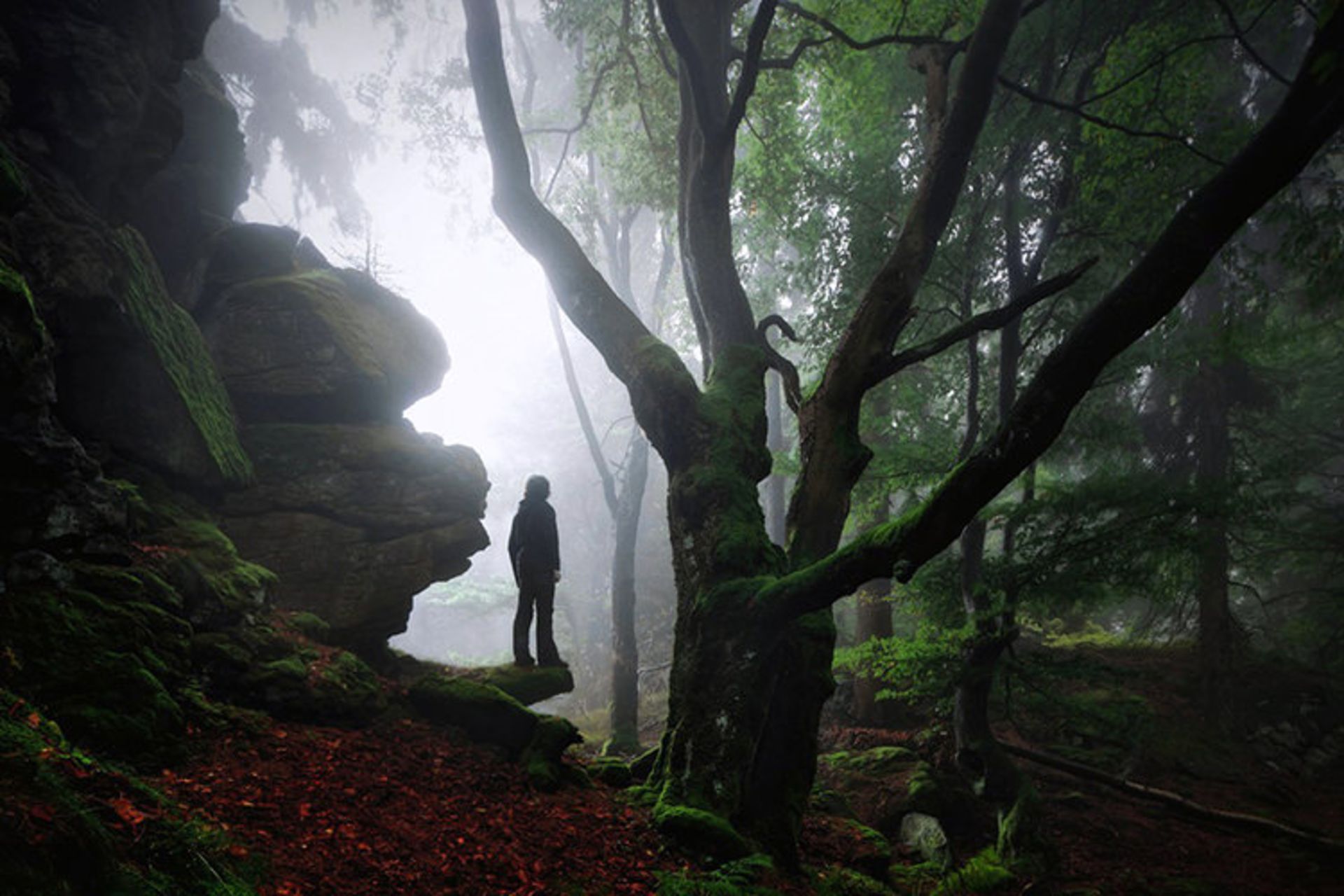 2015-09-grimm-1