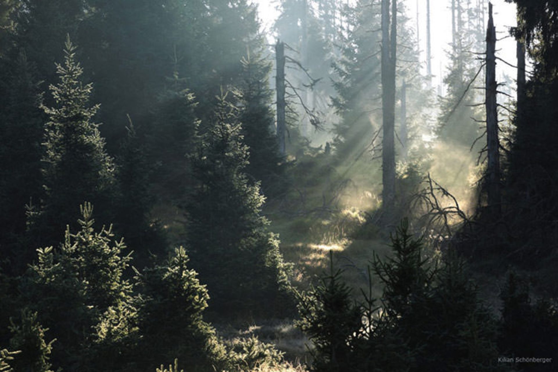 2015-09-grimm-9