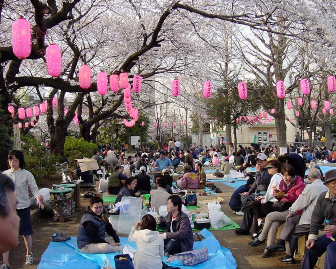 2015-09-hanami2