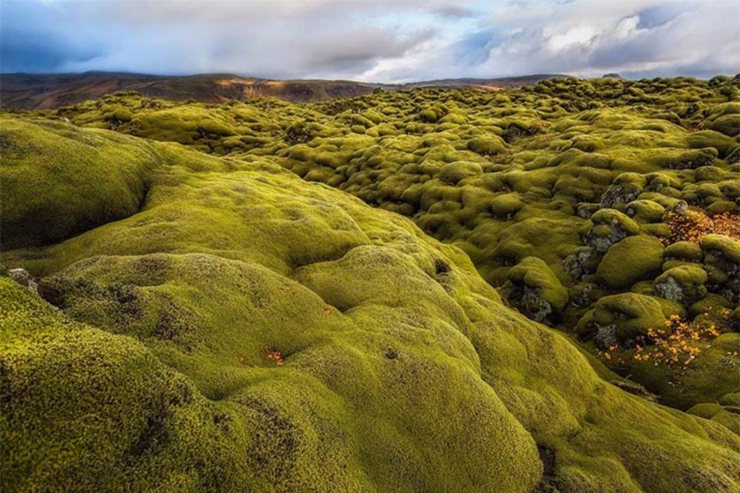 2015-09-hofn-in-iceland