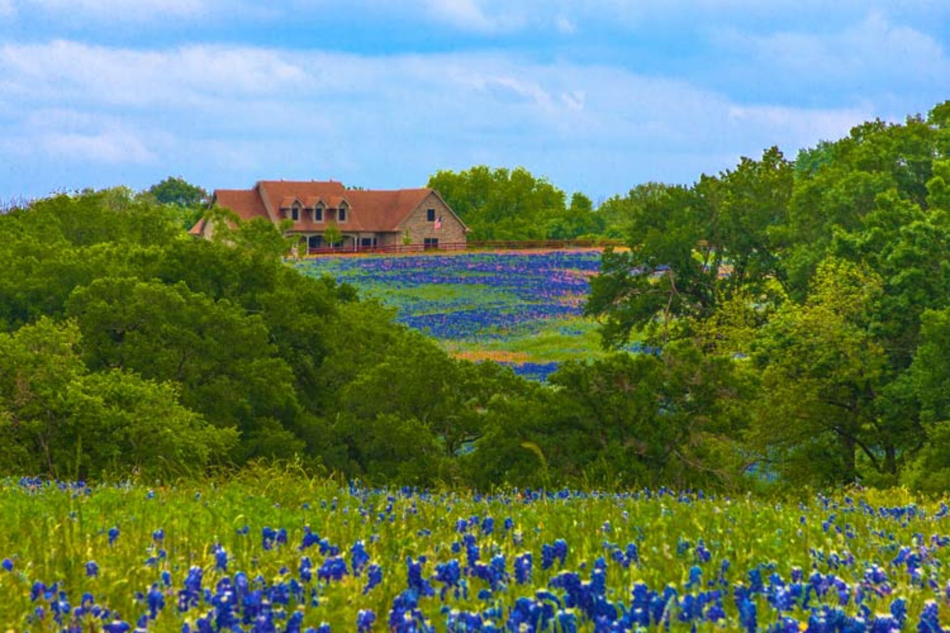 2015-09-jvp_20120413_bluebonnettrail7019