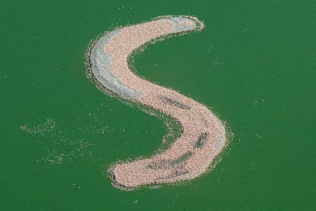 جزیره‌ی Kamfers Dam