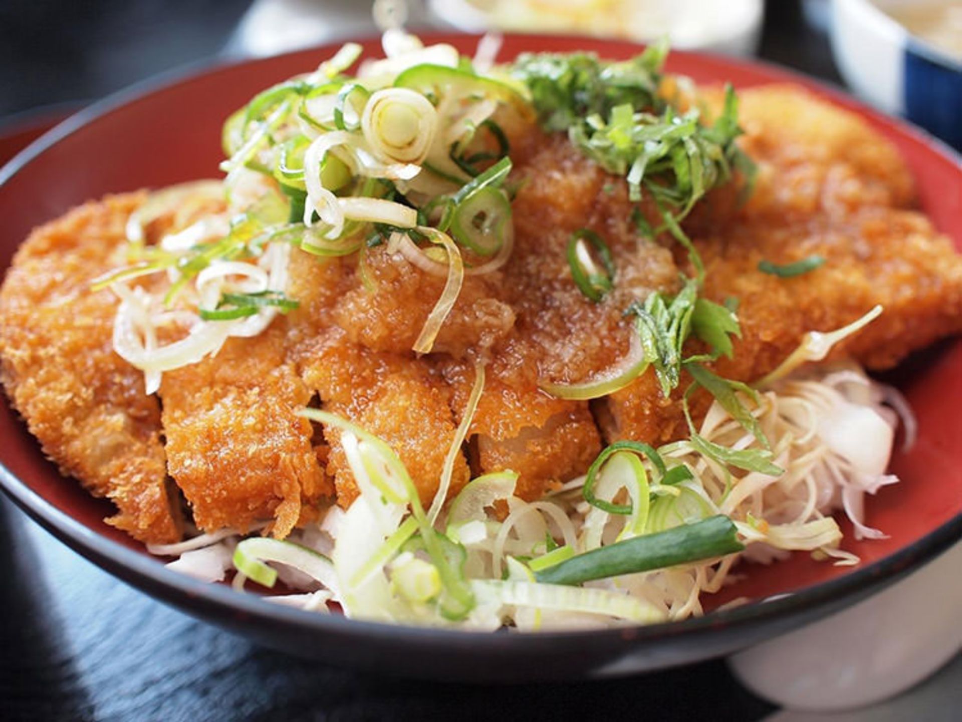Katsudon